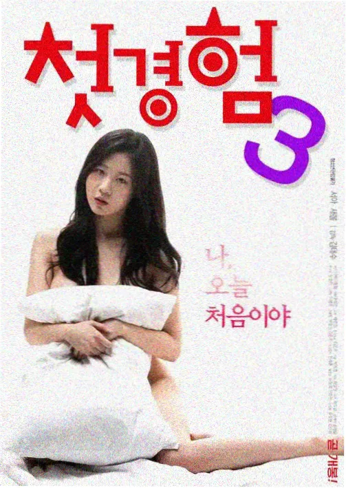 私人女子监狱题材剧集铁栅之外海报